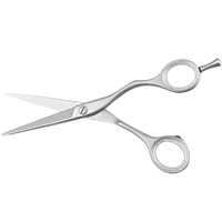 Niegeloh Solingen Hairdressing Scissors 14cm